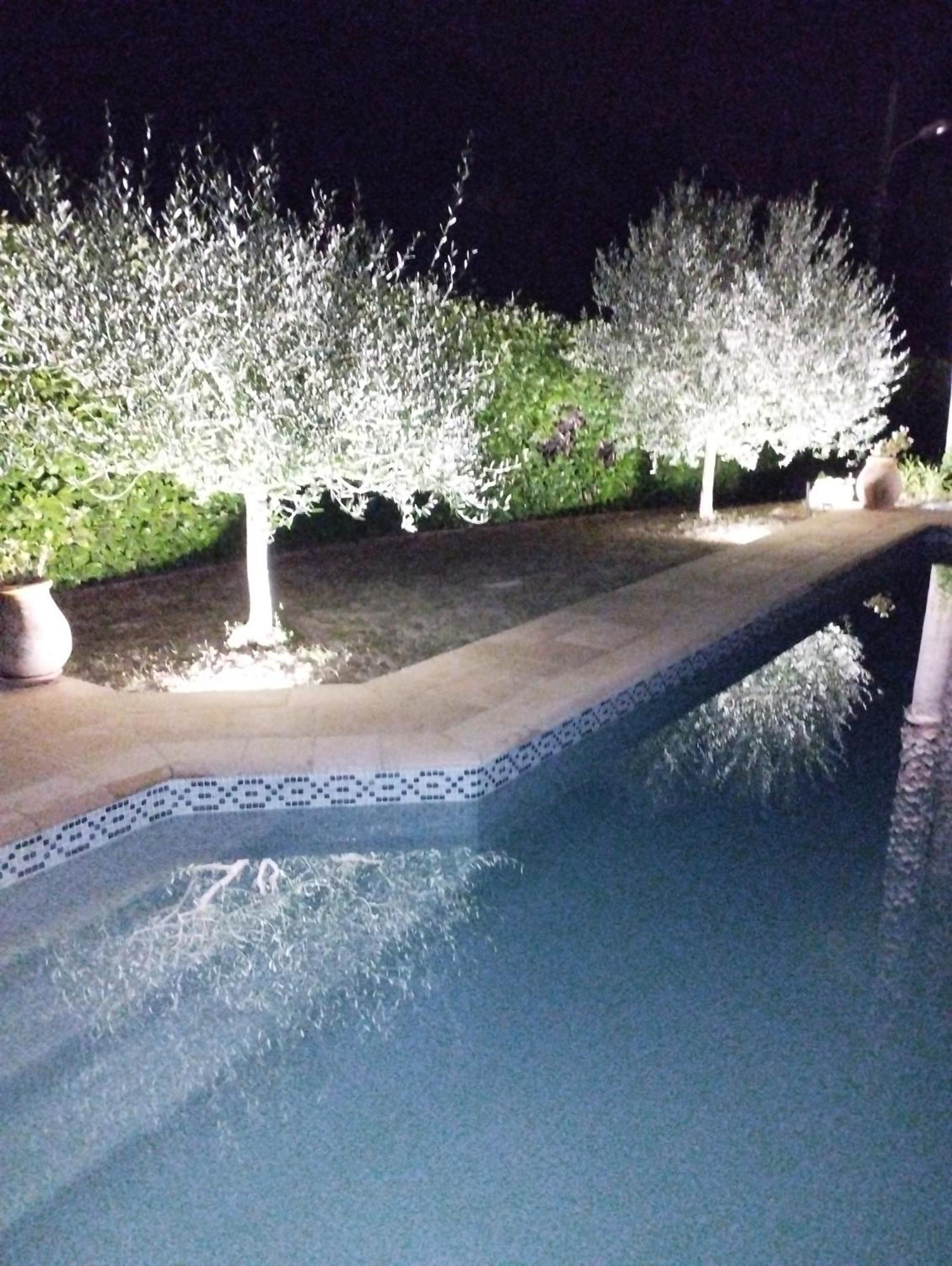 Au Vallon Rouge Saint-Paul-de-Vence Zewnętrze zdjęcie