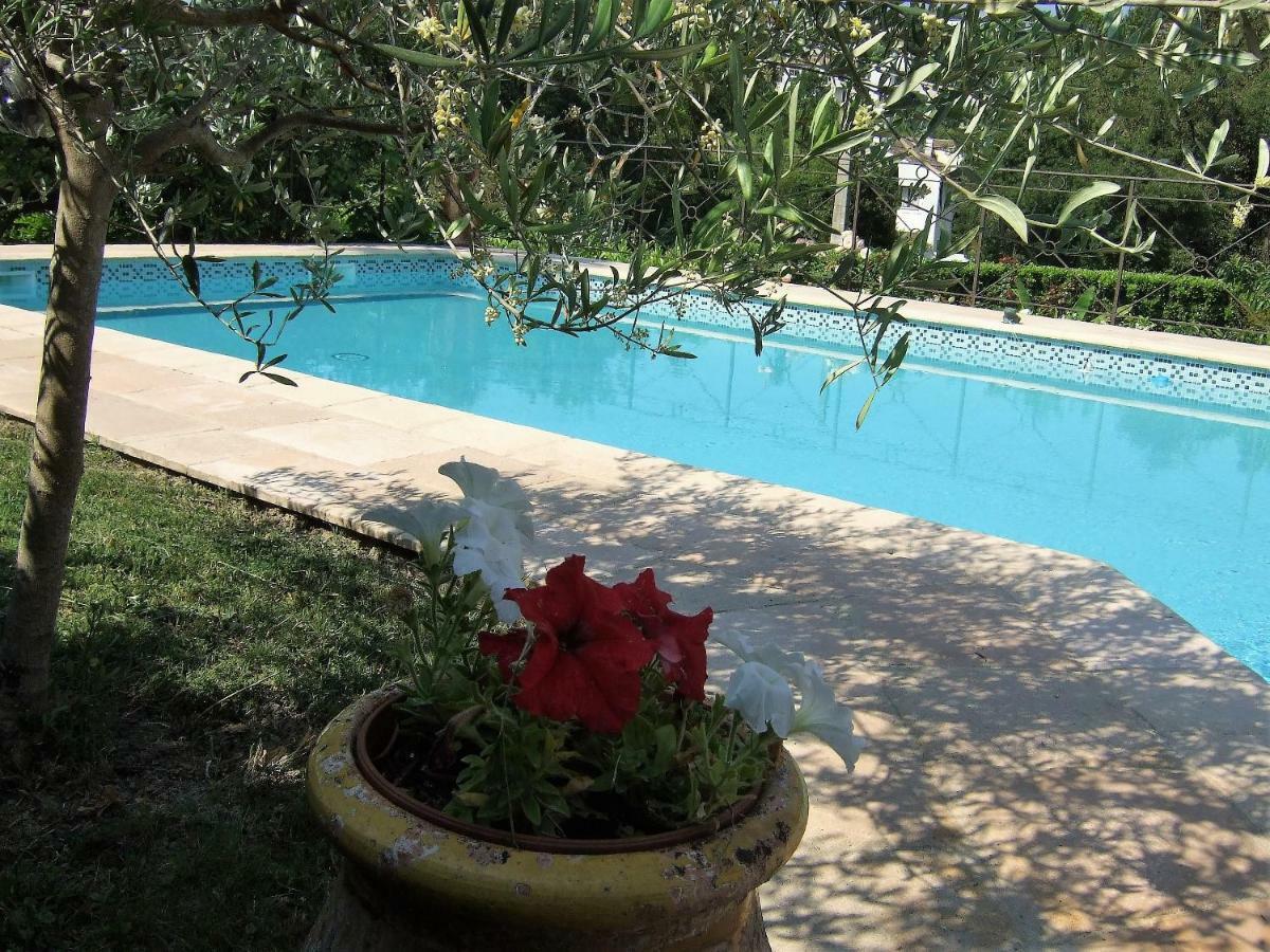 Au Vallon Rouge Saint-Paul-de-Vence Zewnętrze zdjęcie