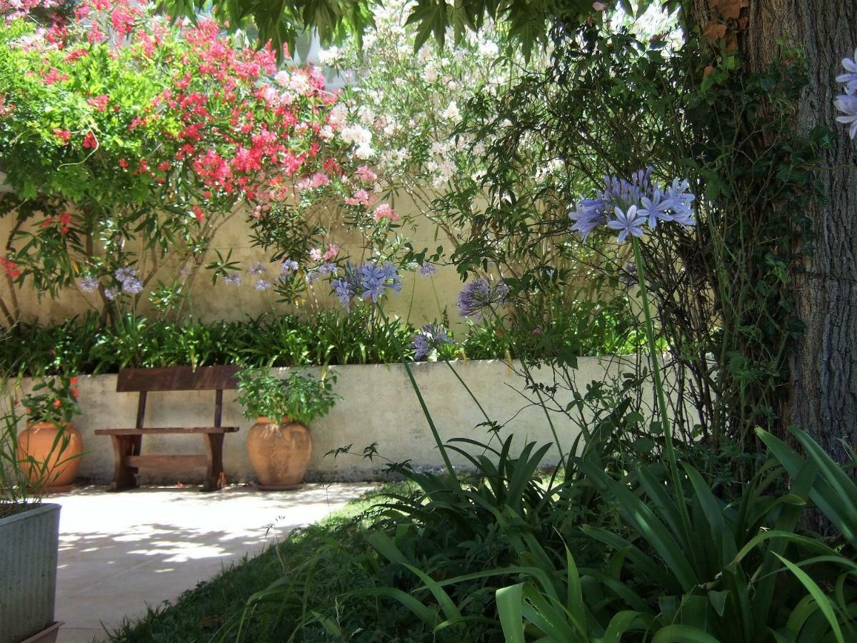 Au Vallon Rouge Saint-Paul-de-Vence Zewnętrze zdjęcie